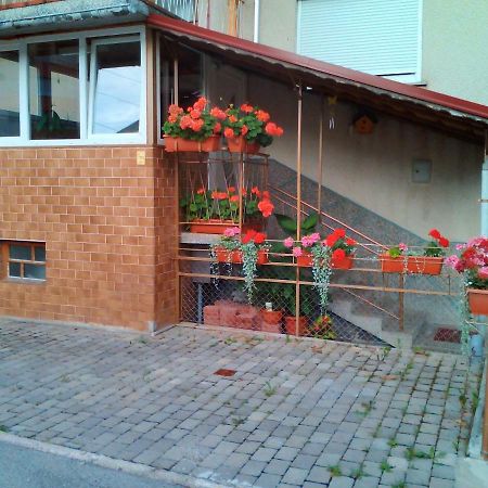 Apartment Janja Vojnik Buitenkant foto