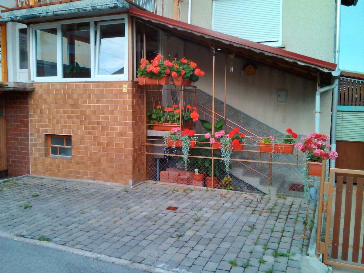 Apartment Janja Vojnik Buitenkant foto