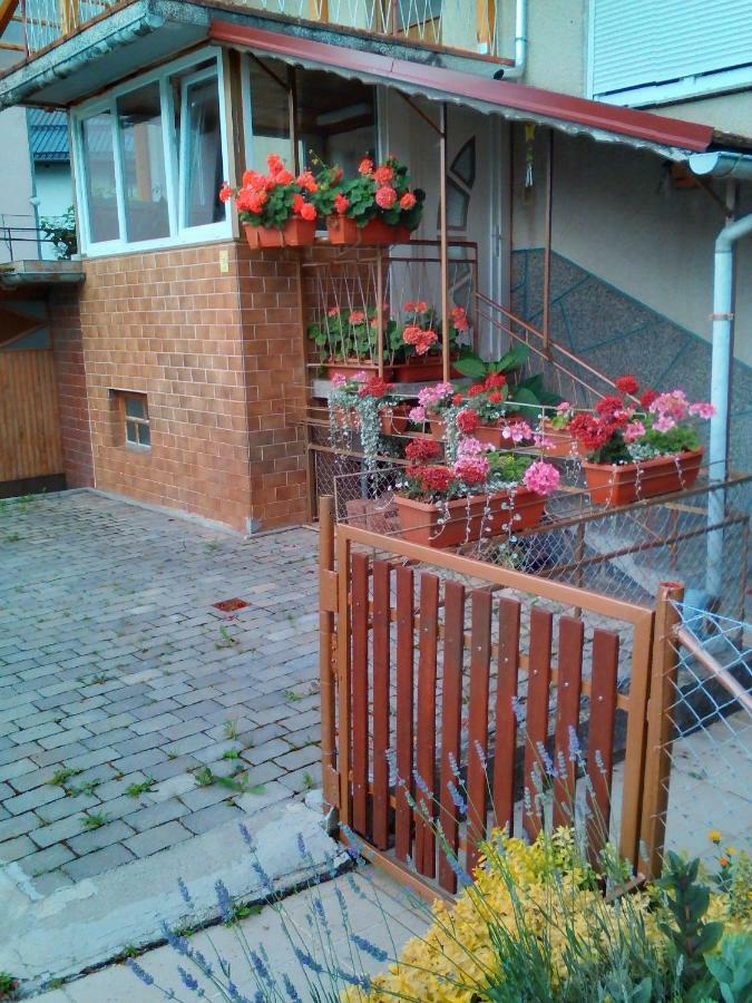 Apartment Janja Vojnik Buitenkant foto